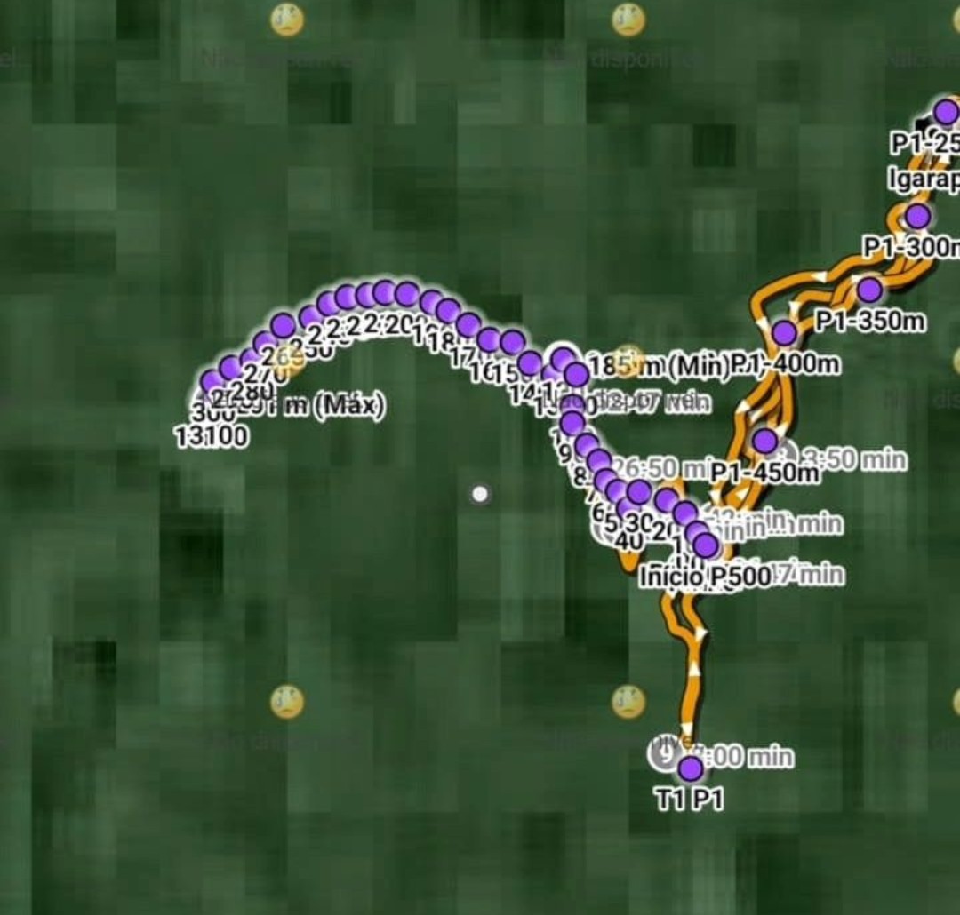 georeferenciamento da parcela Rio Liberdade