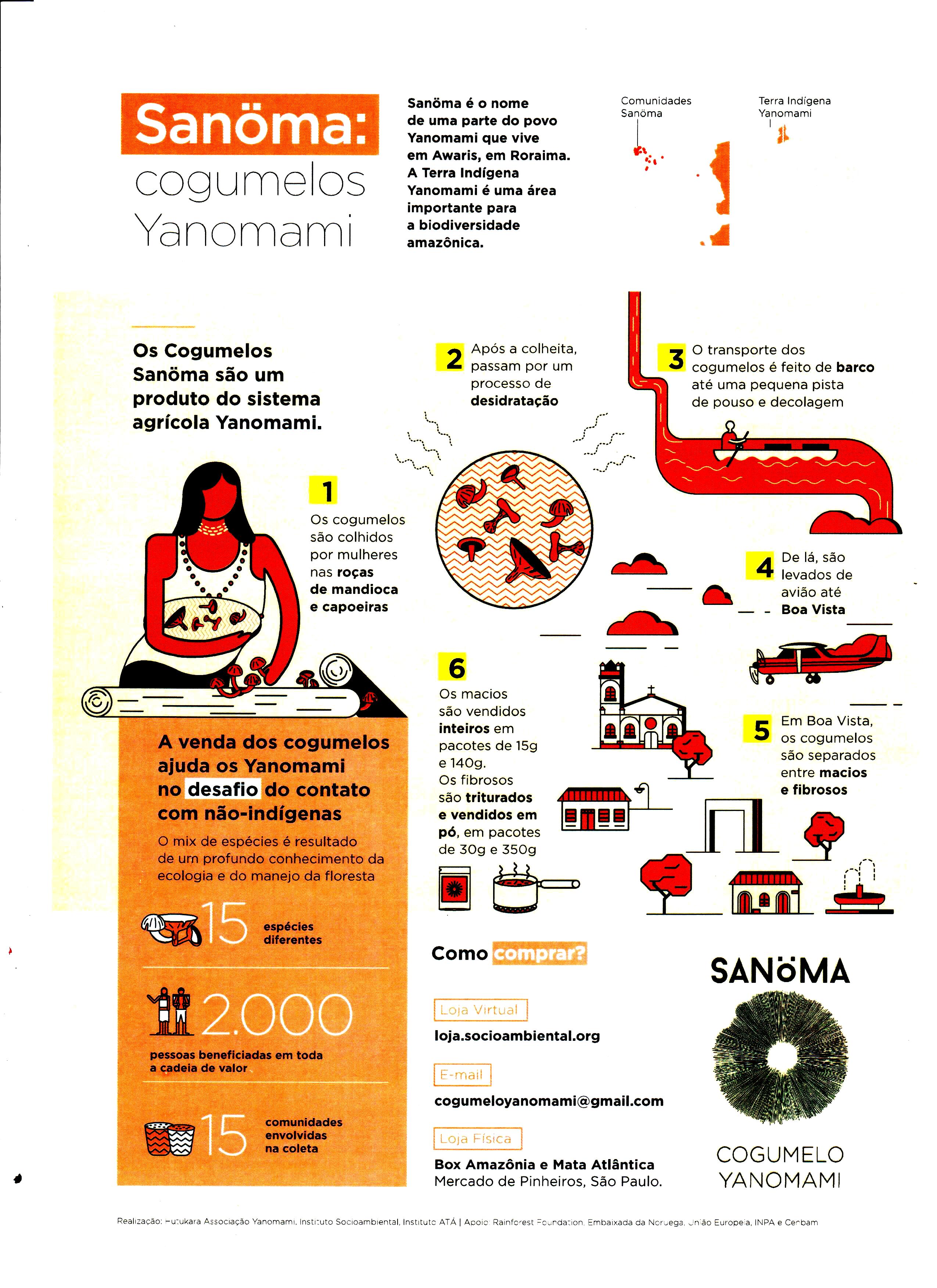 Sanoma: Yanomami mushrooms.
