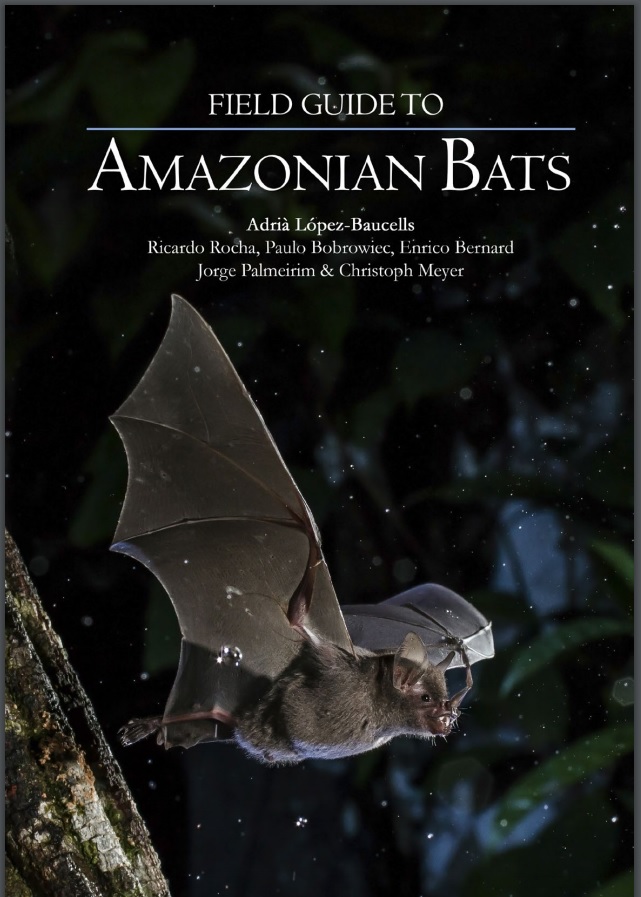 Field Guide to Amazonian Bats