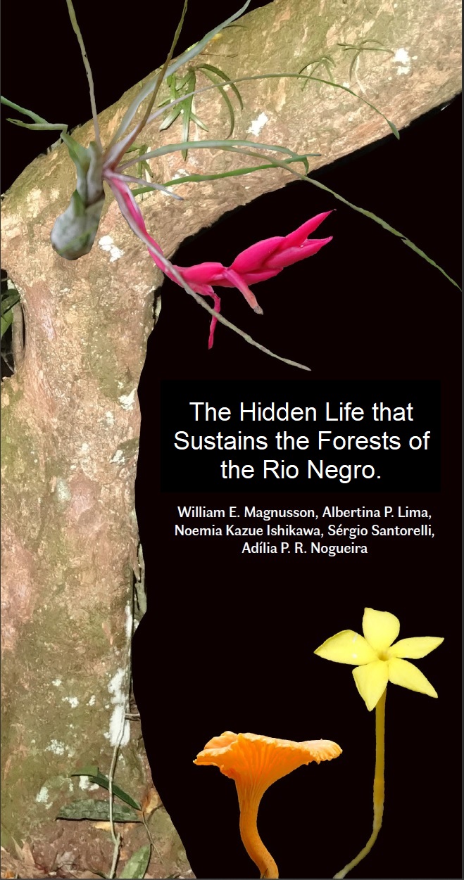 The Hidden Life - Rio Negro - Front 