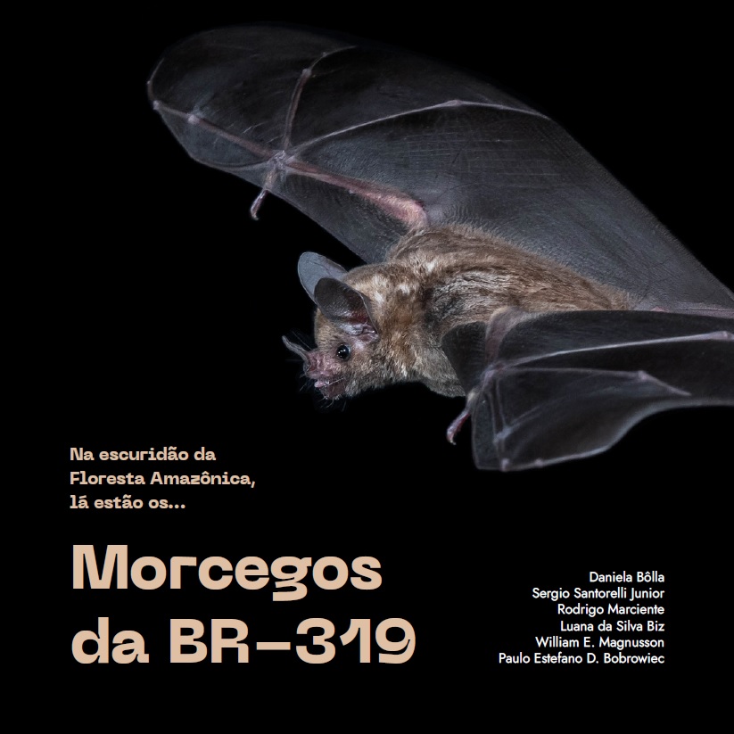 Morcegos da BR319