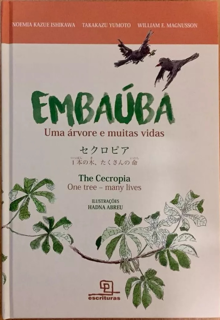 Book Embauba
